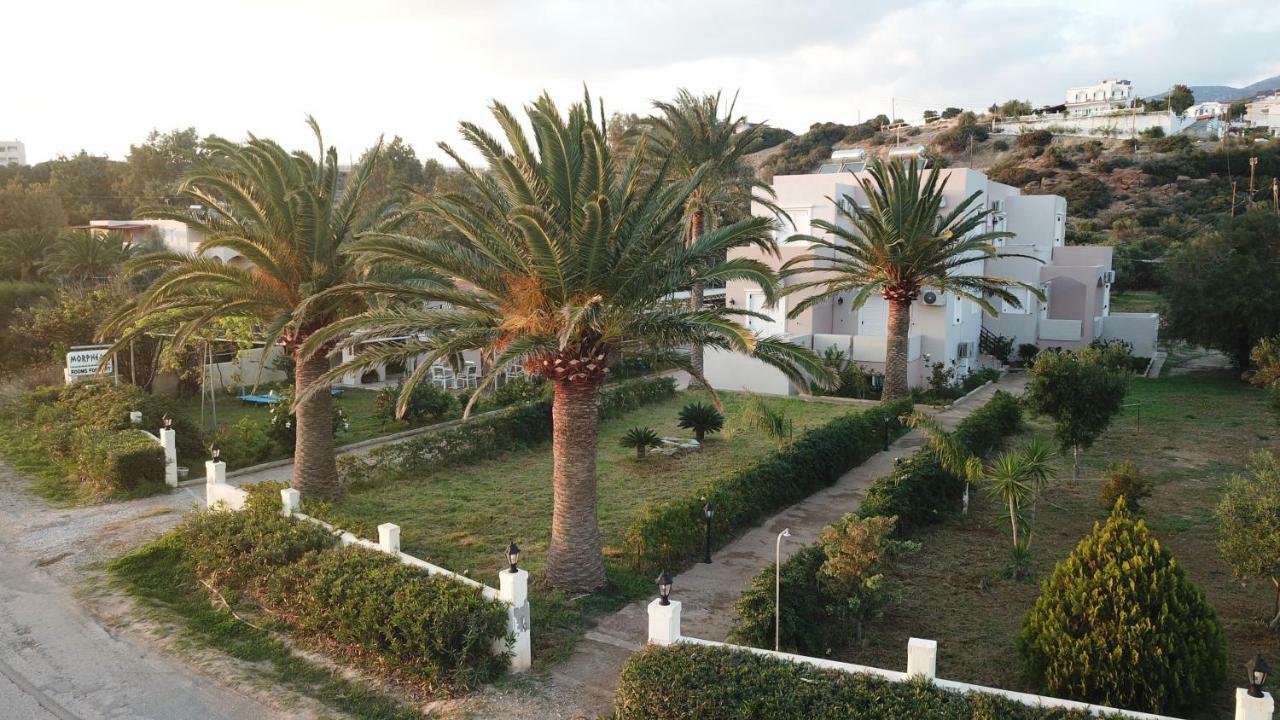 Morpheas * Palaiochora